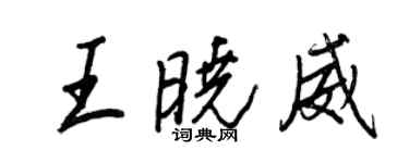 王正良王曉威行書個性簽名怎么寫