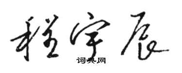 駱恆光程宇辰草書個性簽名怎么寫