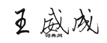 駱恆光王威成行書個性簽名怎么寫