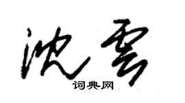 朱錫榮沈雲草書個性簽名怎么寫