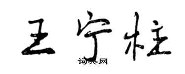 曾慶福王寧柱行書個性簽名怎么寫