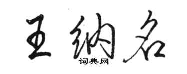 駱恆光王納名行書個性簽名怎么寫