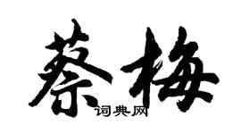 胡問遂蔡梅行書個性簽名怎么寫
