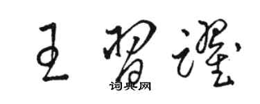 駱恆光王習躍草書個性簽名怎么寫