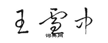 駱恆光王雪中草書個性簽名怎么寫