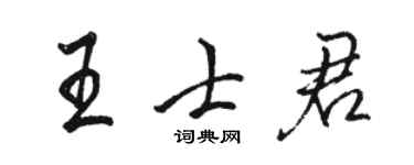 駱恆光王士君行書個性簽名怎么寫