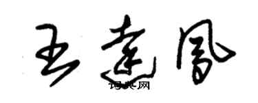 朱錫榮王達鳳草書個性簽名怎么寫