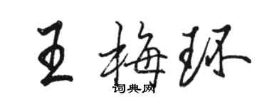 駱恆光王梅環行書個性簽名怎么寫