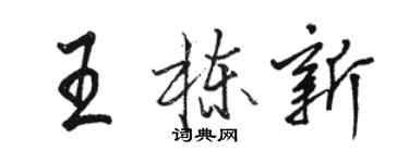 駱恆光王棟新行書個性簽名怎么寫
