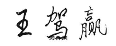 駱恆光王駕贏行書個性簽名怎么寫