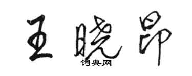 駱恆光王曉昂行書個性簽名怎么寫