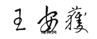 駱恆光王安獲草書個性簽名怎么寫