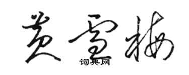 駱恆光黃雪梅草書個性簽名怎么寫