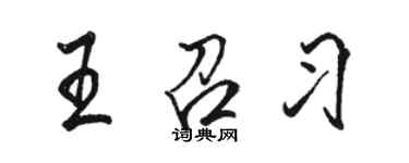 駱恆光王召習行書個性簽名怎么寫