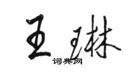 駱恆光王琳行書個性簽名怎么寫