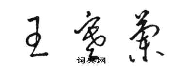 駱恆光王寒蘭草書個性簽名怎么寫