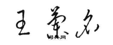 駱恆光王蘭名草書個性簽名怎么寫