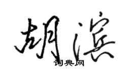 駱恆光胡濱行書個性簽名怎么寫