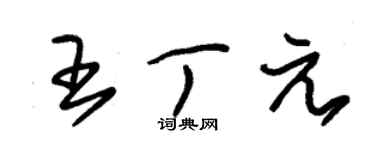 朱錫榮王丁元草書個性簽名怎么寫