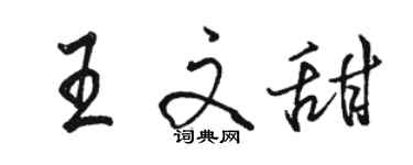 駱恆光王文甜行書個性簽名怎么寫