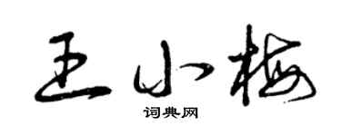 曾慶福王小梅草書個性簽名怎么寫