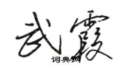駱恆光武霞行書個性簽名怎么寫