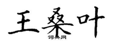 丁謙王桑葉楷書個性簽名怎么寫