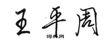 駱恆光王平周行書個性簽名怎么寫