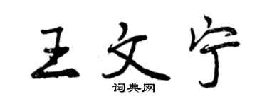 曾慶福王文寧行書個性簽名怎么寫