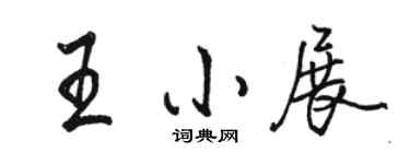 駱恆光王小展行書個性簽名怎么寫