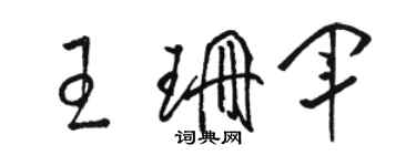 駱恆光王珊軍草書個性簽名怎么寫