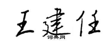 王正良王建任行書個性簽名怎么寫