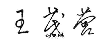 駱恆光王茂營草書個性簽名怎么寫