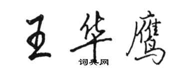 駱恆光王華鷹行書個性簽名怎么寫