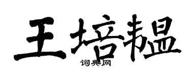 翁闓運王培韞楷書個性簽名怎么寫