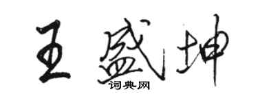 駱恆光王盛坤行書個性簽名怎么寫