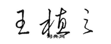 駱恆光王植之草書個性簽名怎么寫