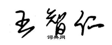 朱錫榮王智仁草書個性簽名怎么寫