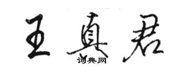 駱恆光王真君行書個性簽名怎么寫