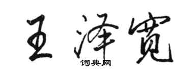 駱恆光王澤寬行書個性簽名怎么寫