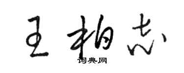 駱恆光王柏志草書個性簽名怎么寫