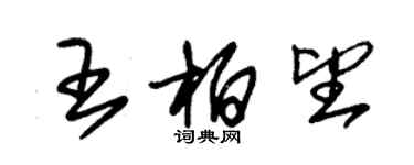 朱錫榮王柏望草書個性簽名怎么寫