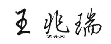 駱恆光王兆瑞行書個性簽名怎么寫