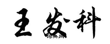 胡問遂王發科行書個性簽名怎么寫
