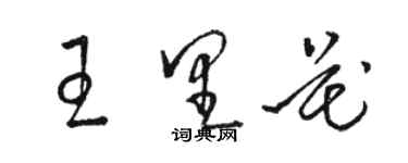 駱恆光王里花草書個性簽名怎么寫