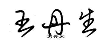 朱錫榮王丹生草書個性簽名怎么寫