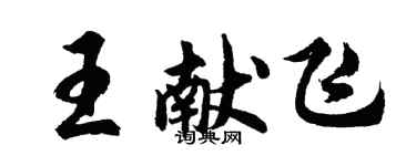胡問遂王獻飛行書個性簽名怎么寫