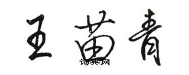 駱恆光王苗青行書個性簽名怎么寫