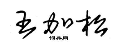 朱錫榮王加松草書個性簽名怎么寫