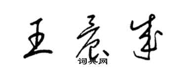 梁錦英王晨成草書個性簽名怎么寫